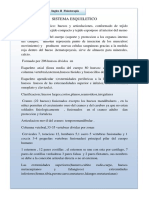 RESUMEN SISTEMA ESQUELETICO.docx