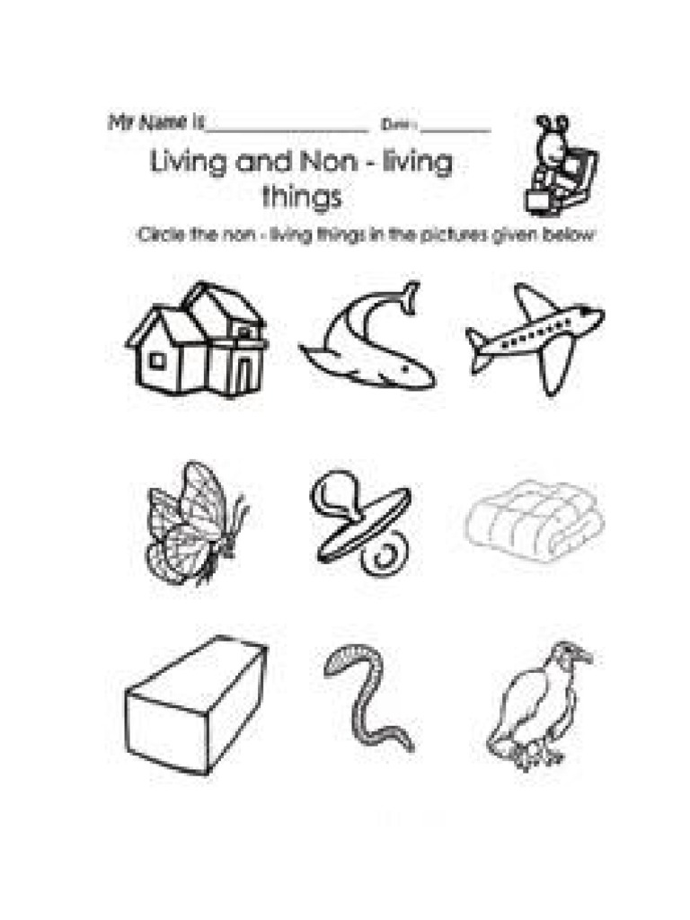 living-things-worksheet-pdf