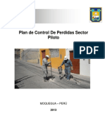 Plan y Control de Perdidas