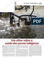 saude dos indigenas.pdf
