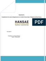 Presentacion capacitacion HAMSAE