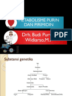 Metabolisme Asam Nukleat