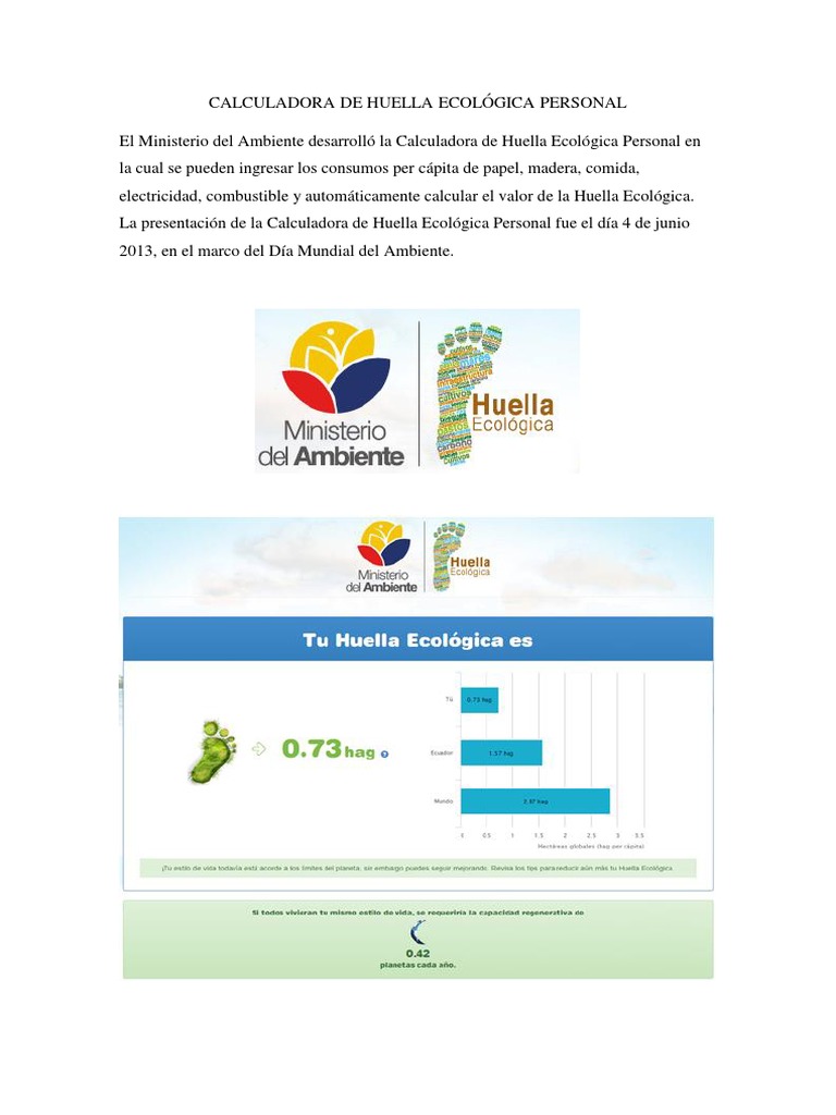 Calculo de La Huella Ambiental | PDF | Ciencia y matemáticas