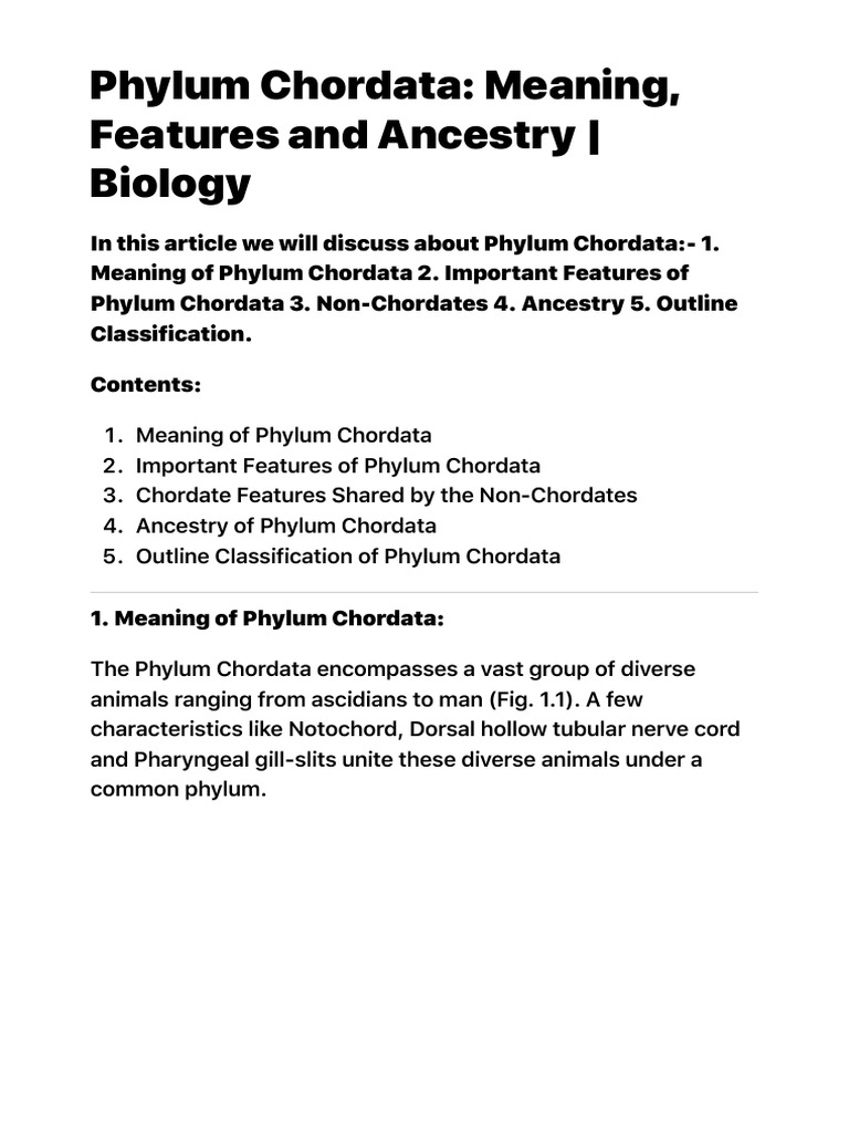 Phylum Chordata Characteristics