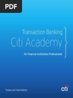 Citi Academy Coursebook 2016