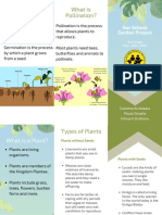 Plant Brochure