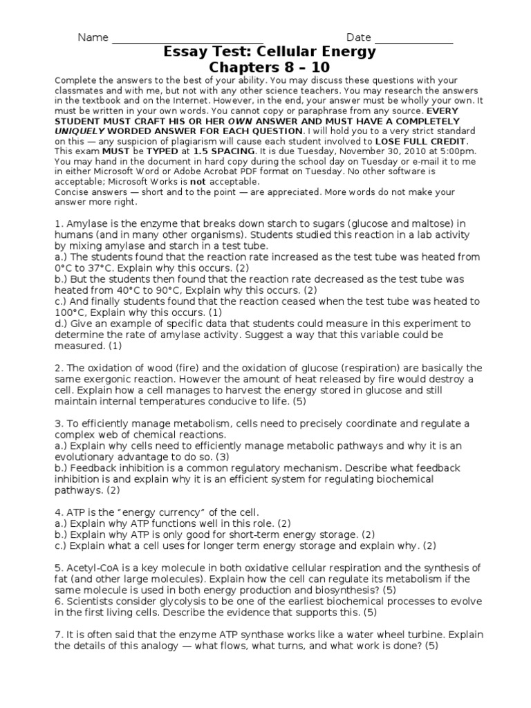 Essay on photosynthesis 100 words image