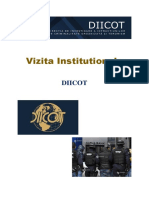 Vizita Institutionala 