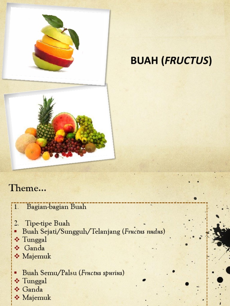 Botani Farmasi Buah Fructus