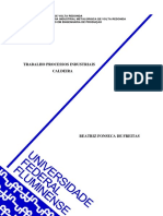 trabalho processos industriais - caldeira.pdf
