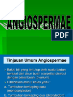 Angiospermae