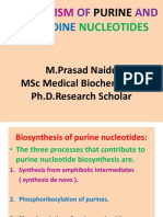 Metabolismofnucleotidesnew PDF