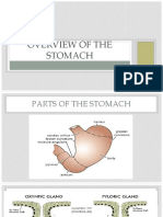 Peptic Ulcer Disease