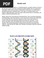 Nucleic Acid Metabolism