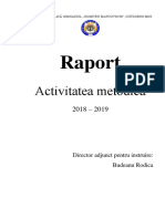 +raport 2017-2018