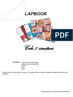 cele_5_simturi.pdf