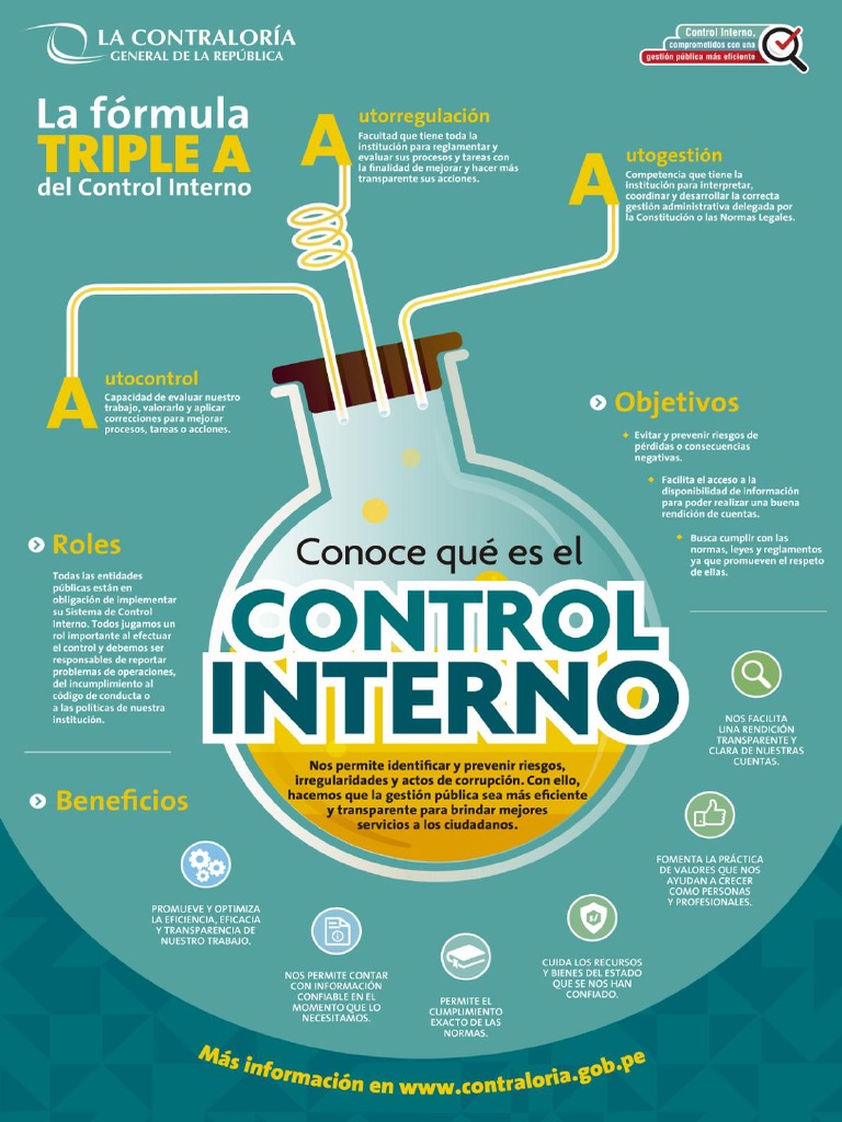 Afiches Control Interno PDF | PDF