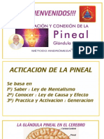 Pineal Activacion