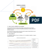 Energía de la biomasa: definición, rentabilidad e impacto