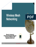 Wireless Mesh Netorking