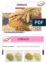 11--Cereales y Granos Andinos.pptx