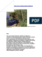 CARACTERISTICA DOS ORIXAS 3.pdf