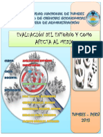 265272408-Analisis-Del-Entorno-Empresarial.pdf