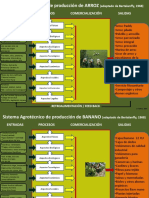 SISTEMAS AGRICOLAS Arroz - Banano - Cacao - Maiz y Hortalizas