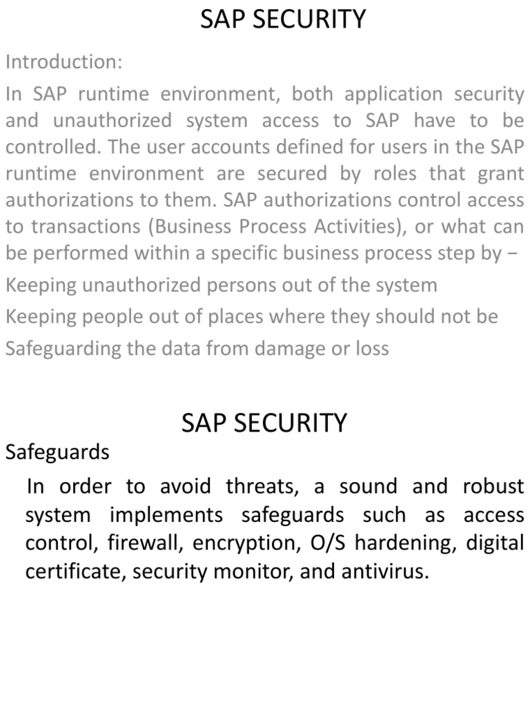 Sap Security PDF Computer Security Security