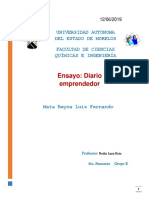 Ensayo Diario Emprendedor