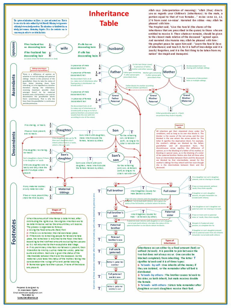 Islamic Inheritance Distribution Chart | PDF | Inheritance | God In Islam