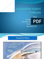 Glaukoma Sudut Terbuka