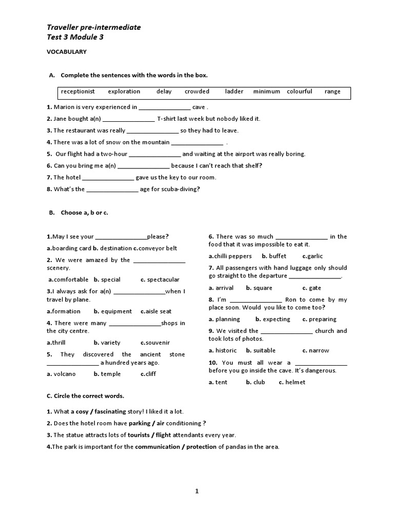 Traveller Pre Intermediate Test 3 PDF | PDF