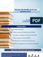 PROCESo de FAMILIA. IAJ.XRZ.2.pdf