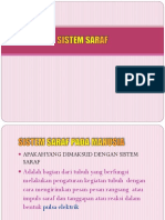 SISTEM SARAF myelography&MR