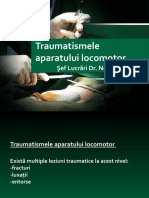 Traumatismlele Aparatului Locomotor