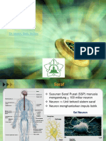 Fisiologi Saraf