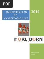 Marketing Plan of V6 Vegetable Juice