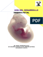 Apunte de Desarrollo Embrio-Fetal 2019