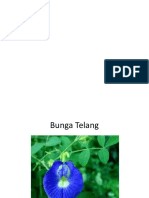 Kembang Telang