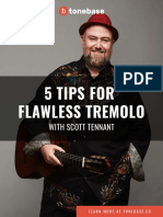 5 Tips4Tremolo PDF