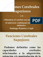 Funciones cerebrales superiores: memoria, atención, agnosias y praxias