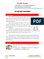 263636576-PROFILE-KLINIK-UMUM-AGUNG-minus-pdf.pdf