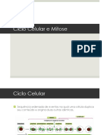 Aula_05_-_Ciclo_Celular_e_Mitose.pptx