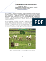 opciones ovinocultura.pdf