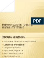 Dinamica SC - Terestre2