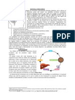 Sistema endocrino: glándulas y hormonas