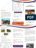 Identificação e Registo de Equideos_RP