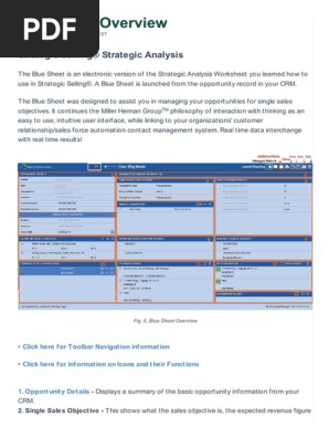 Miller Heiman Strategic Selling Blue Sheet