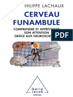 Le Cerveau Funambule - Comprendr - Lachaux, Jean-Philippe